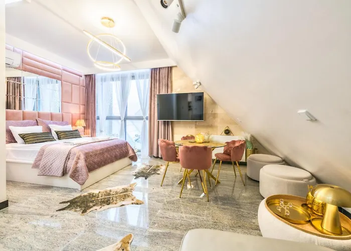 Premium Happiness On The Motlawa River * 格但斯克